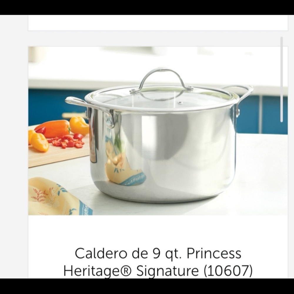 Princess House Heritage 9 Qt. Silver Cookware
